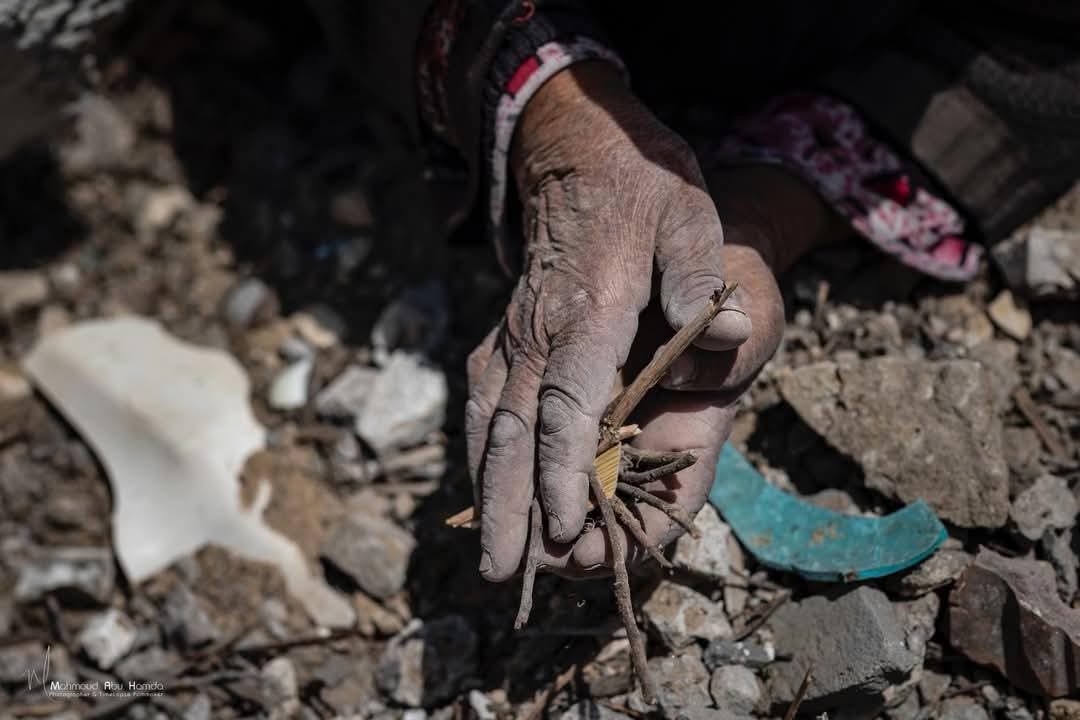 Elderly Woman Gathering Wood for Fire in Gaza Rubble