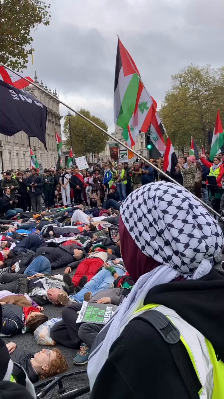 Downing Street Memorial for Palestinian Casualties