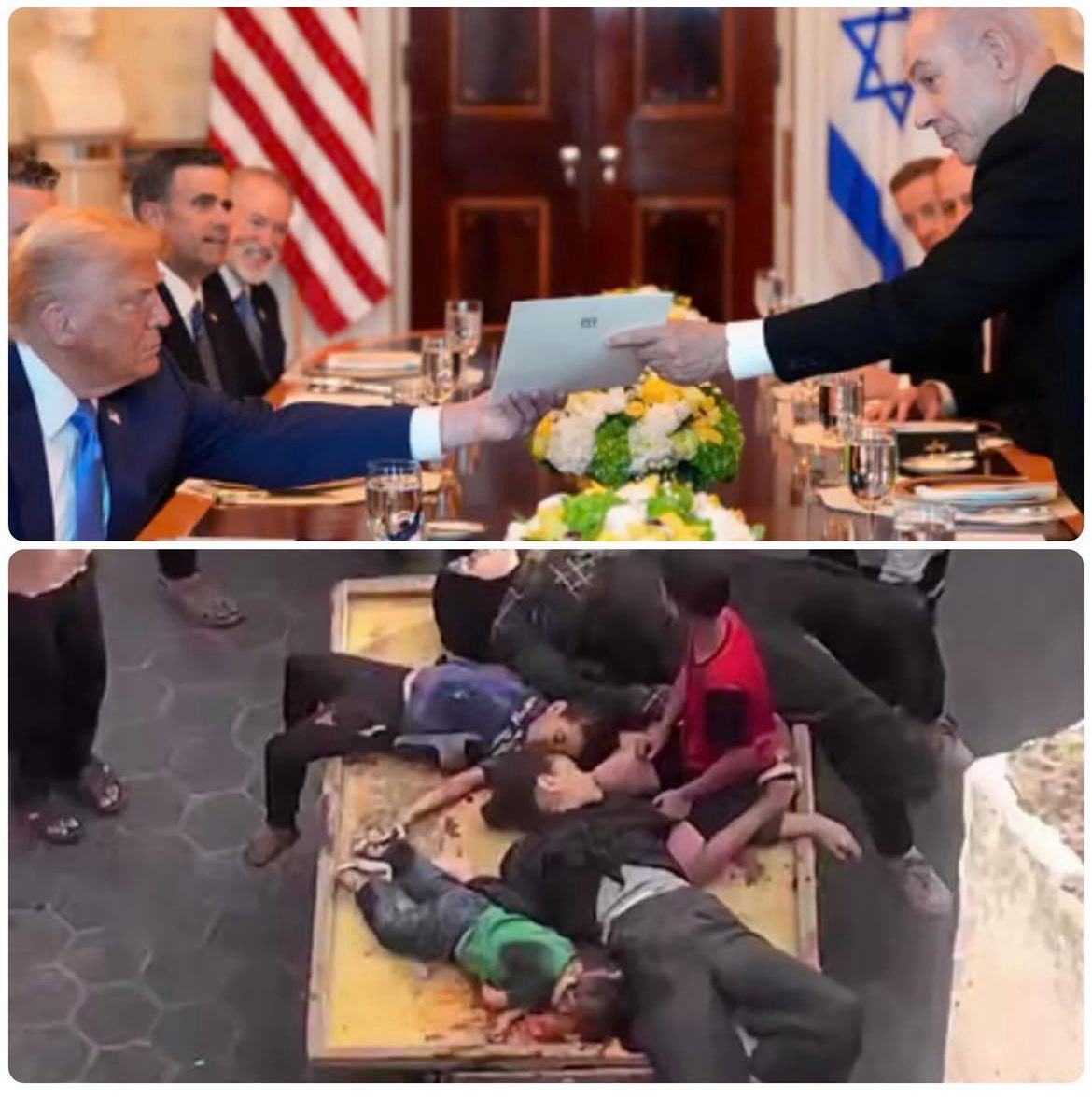Netanyahu Nominates Trump for Nobel Prize Amid Gaza Massacre