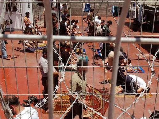 January arrests surge: 590 detained including children and women