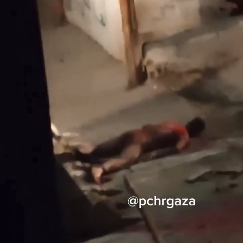 Israeli bulldozer footage sparks outrage over body desecration