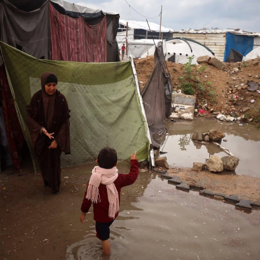 Gaza Urgent Shelter Needs: Massive Humanitarian Crisis