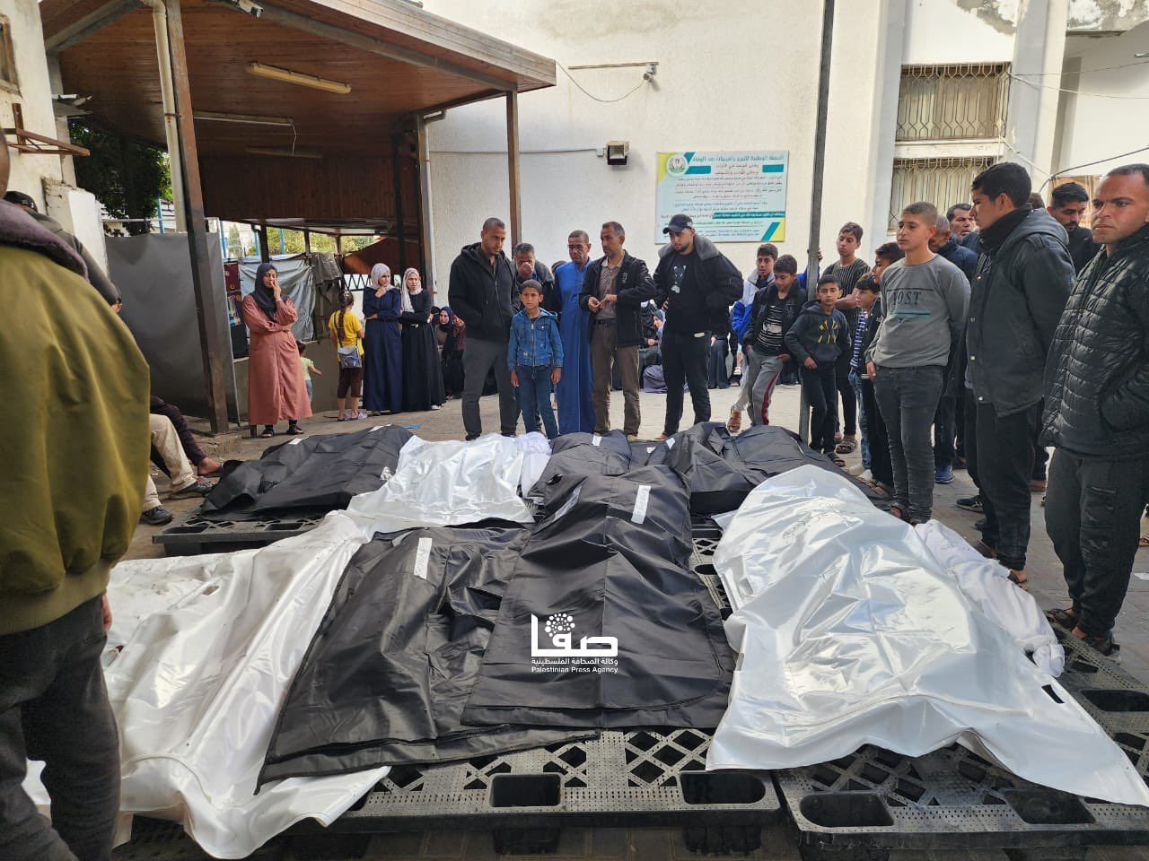 Israeli forces committed 5 massacres killing 48 and wounding 79 in Gaza