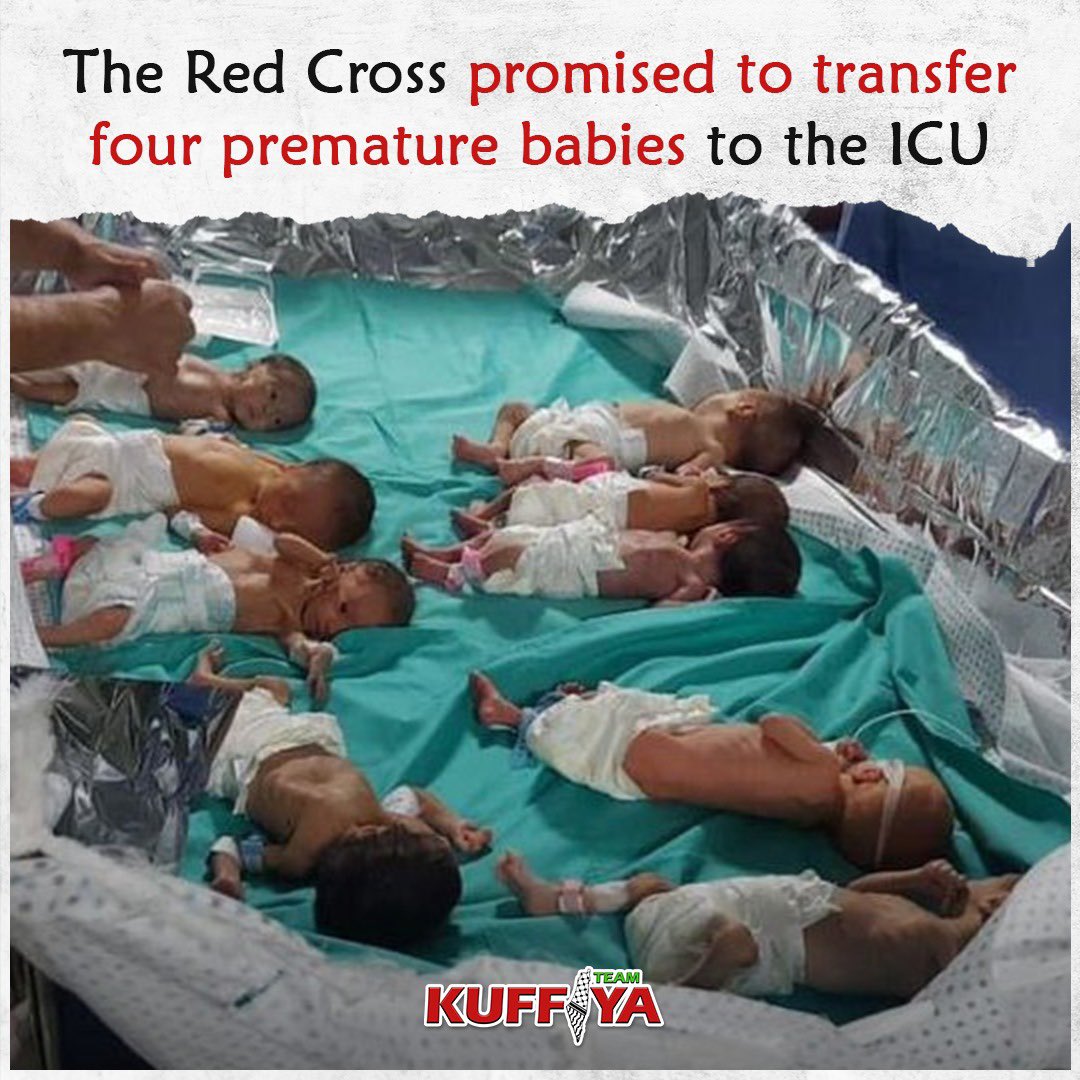 Red Cross transfers premature babies to ICU in Gaza
