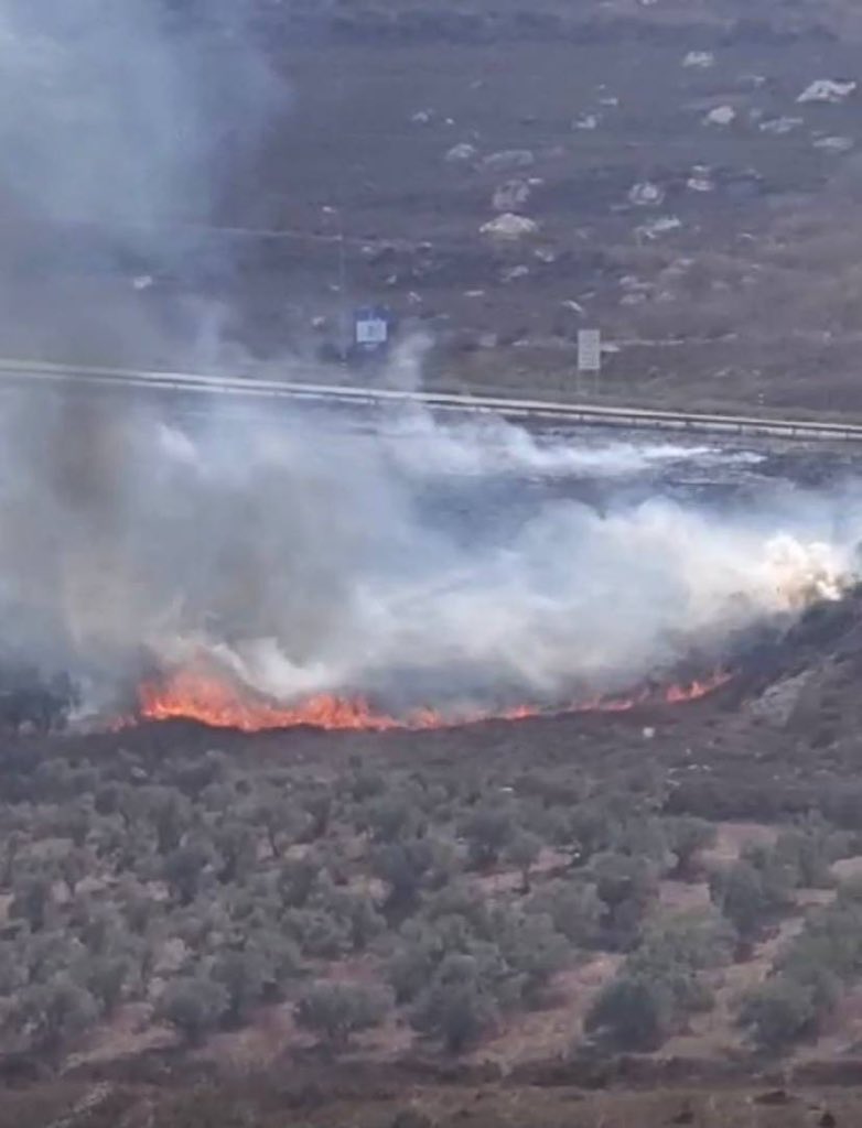 Settlers Burn Palestinian Farms in West Bank Village
