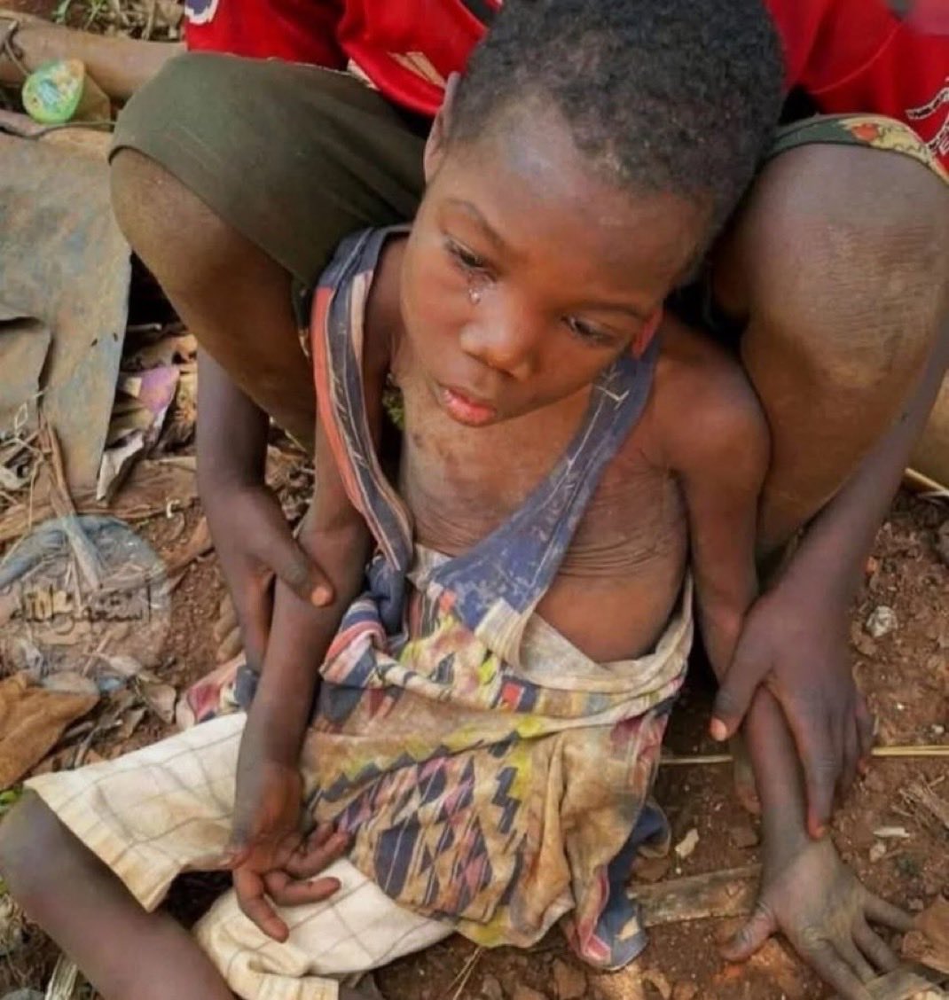 El Fasher Sudan humanitarian crisis 700 days