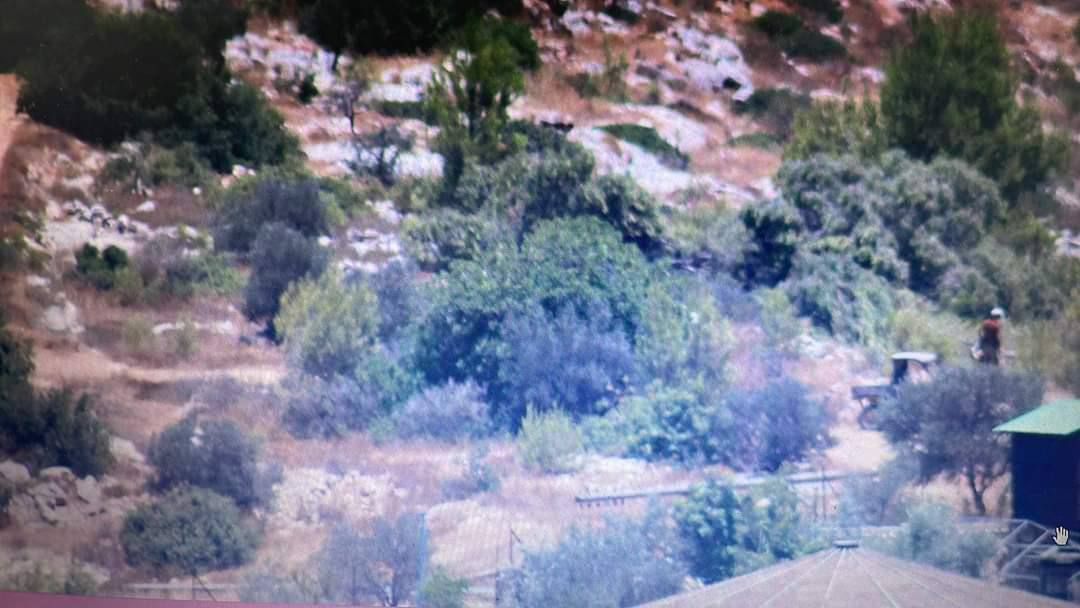 Israeli settlers cut down trees in Jabal al-Risan near Ramallah