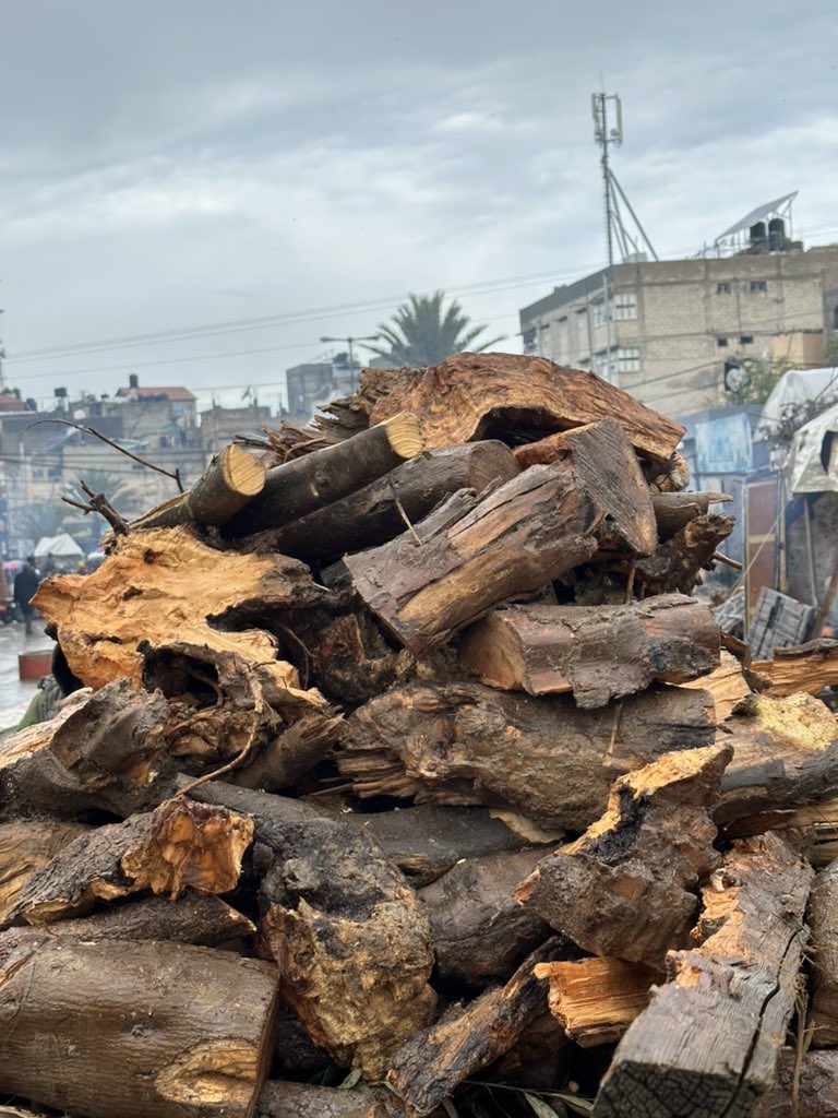 Wood Purchased to Prepare Food for Gaza Refugees