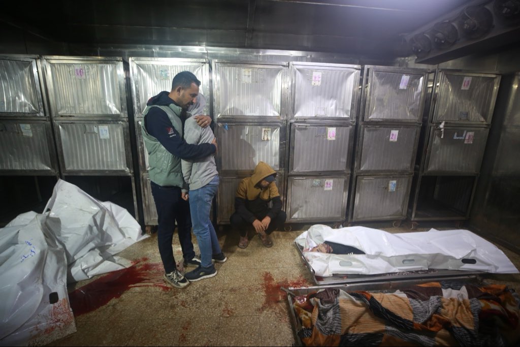 MoH Reports 14 Killed, 23 Wounded in Gaza