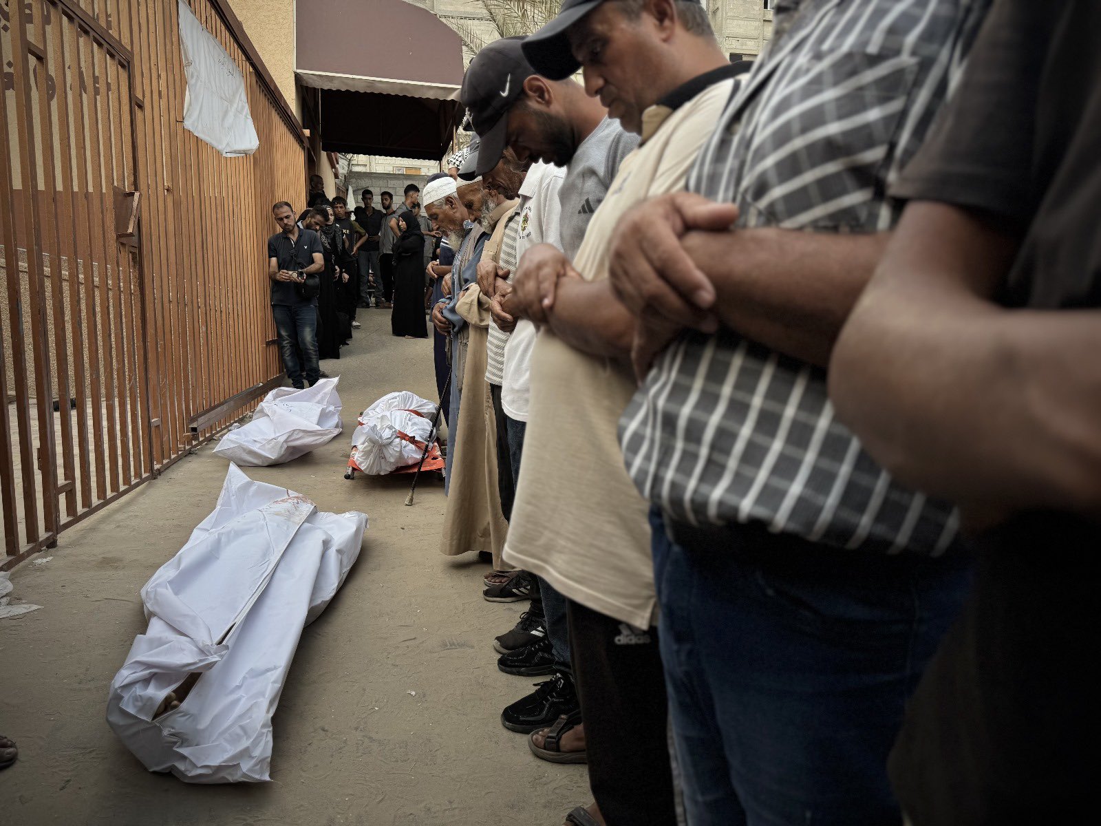 Gaza Casualties: 113 Killed, 637 Wounded in 24 Hours