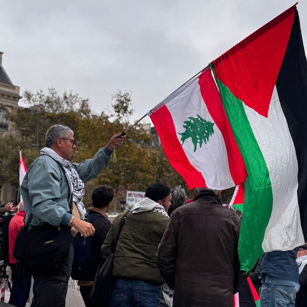 Paris Demonstration Supporting Palestine and Lebanon