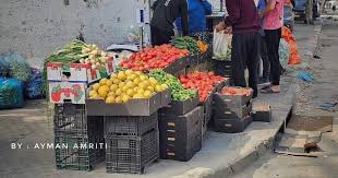 Limited Vegetable Supplies and High Prices in Northern Gaza