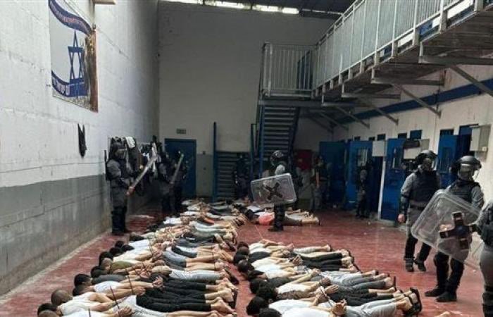 Alleged Harassment of Palestinian Prisoners at Magiddo Prison