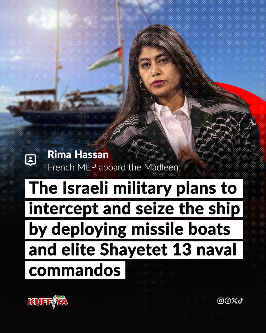 French MEP anticipates Israeli interception of Gaza aid flotilla mission