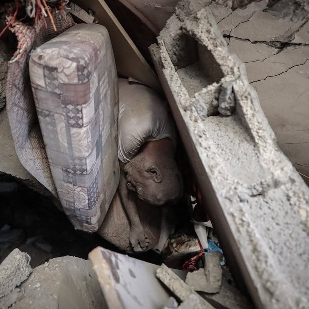 Palestinian Body Found in Gaza Refugee Camp Bombing