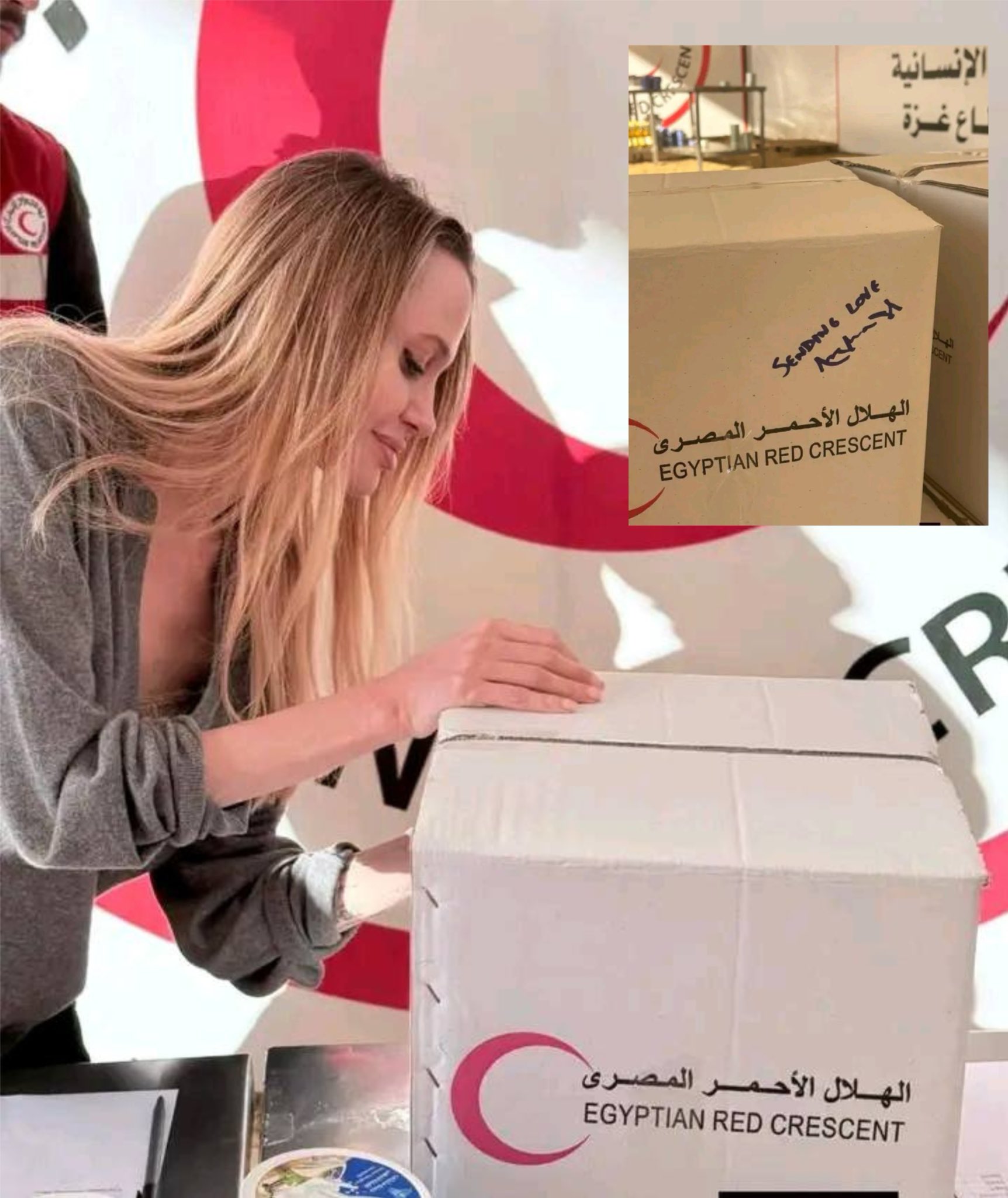 Jolie’s Gaza aid versus Herzog’s war rhetoric contrast