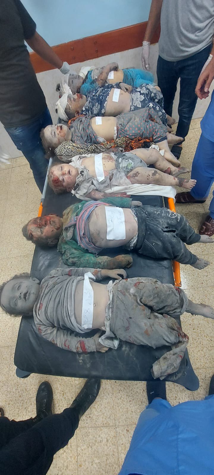 World support for Israeli operations against Gaza terrorists