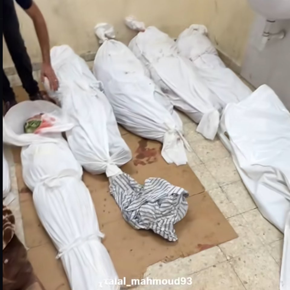 Israeli attacks on Nuseirat kill 8 Palestinians wound 37
