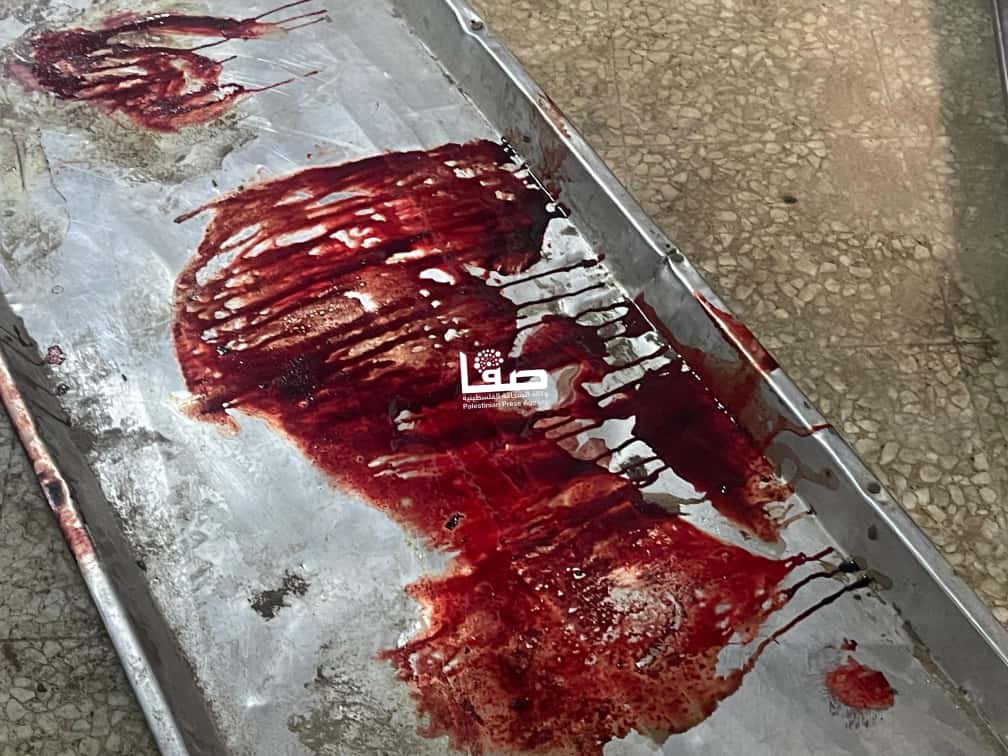 Israeli Military Strike Kills 110 in Gaza Strip