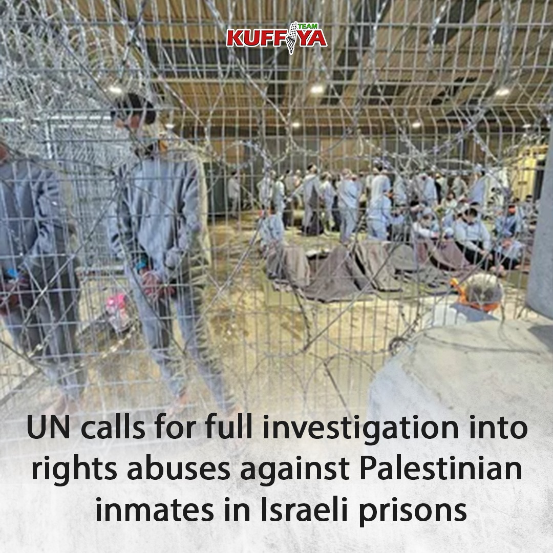 UN Calls for Investigation into Rights Abuses Against Palestinian Detainees