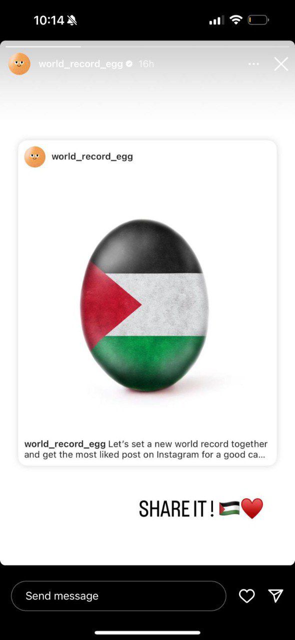 World Record Egg Achieves Likes with Palestinian Flag