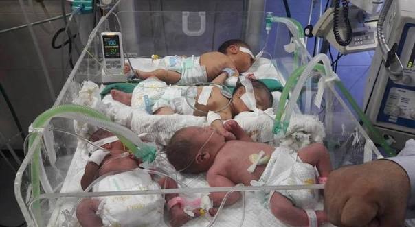 62,000 Newborns Born in Gaza During 2025