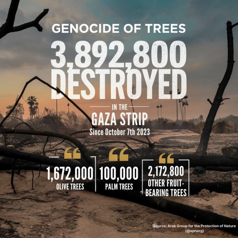 Gaza Agricultural Sector Faces Catastrophic Destruction
