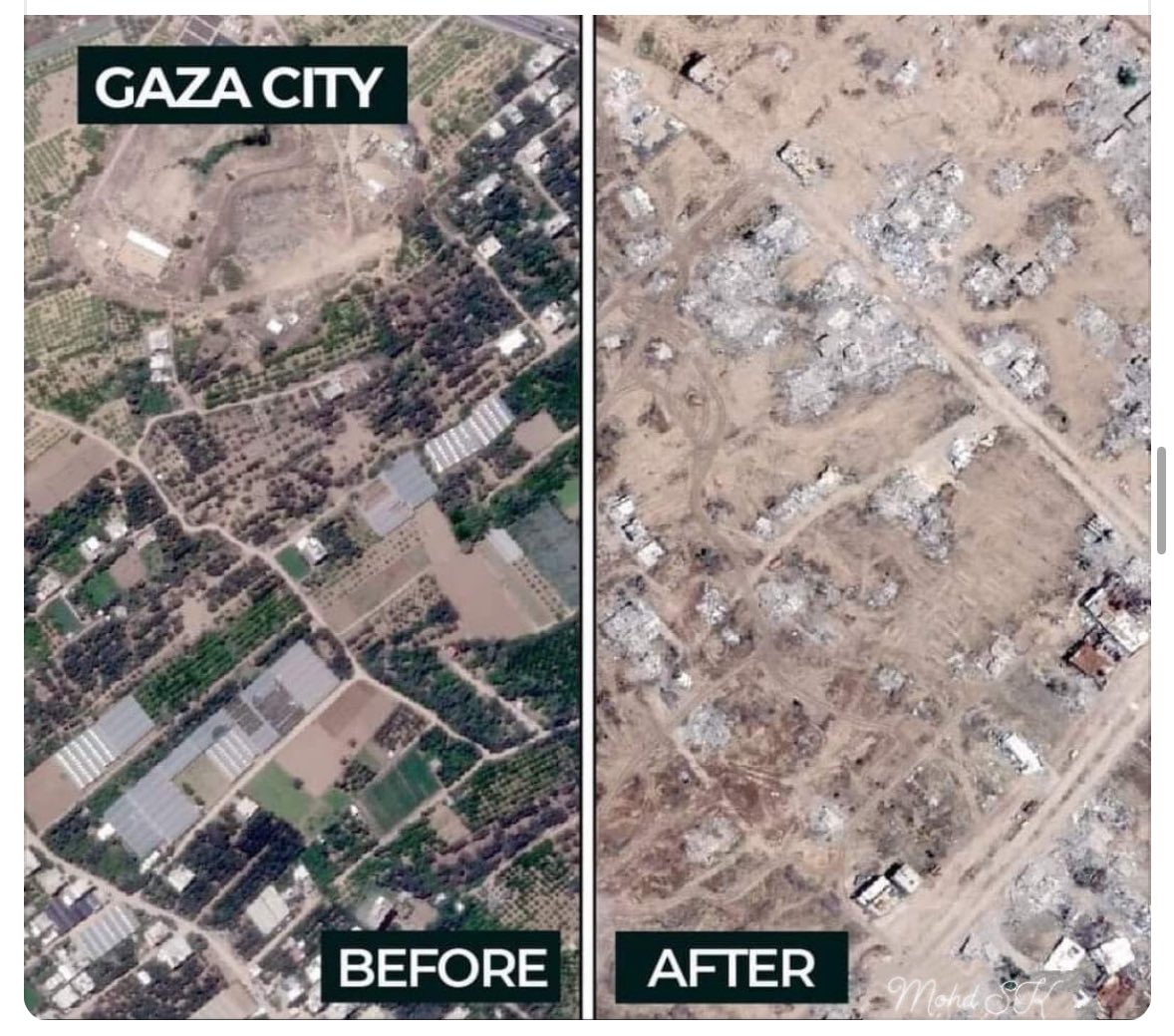 Gaza: The Most Documented Yet Denied Genocide