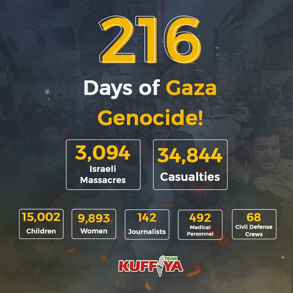 Israel Gaza Conflict: Casualty Toll and Accountability