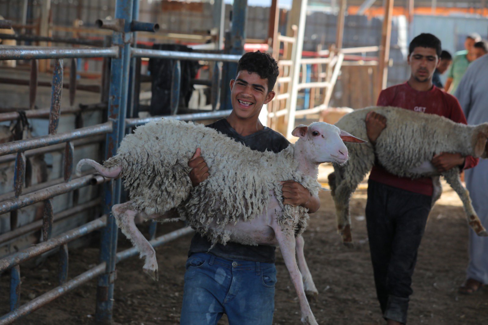 First Eid al-Adha in Gaza without traditional lamb sacrifice