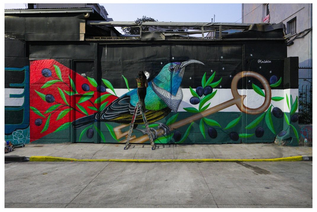 Chilean Muralist Creates Palestinian Resilience Mural