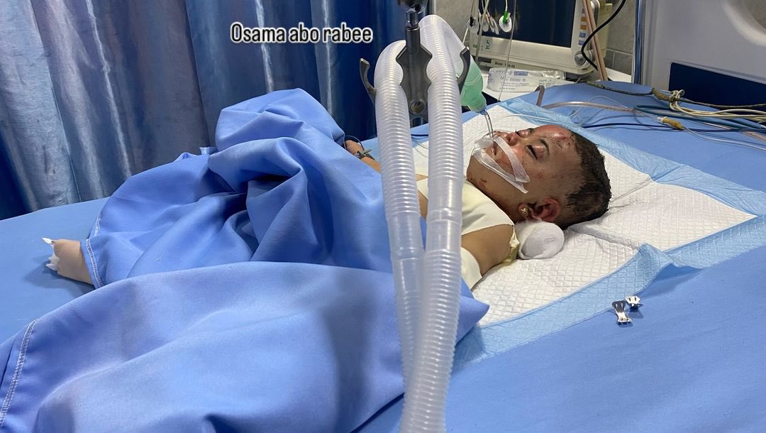 Gaza death toll: over 41,000 Palestinians killed since October