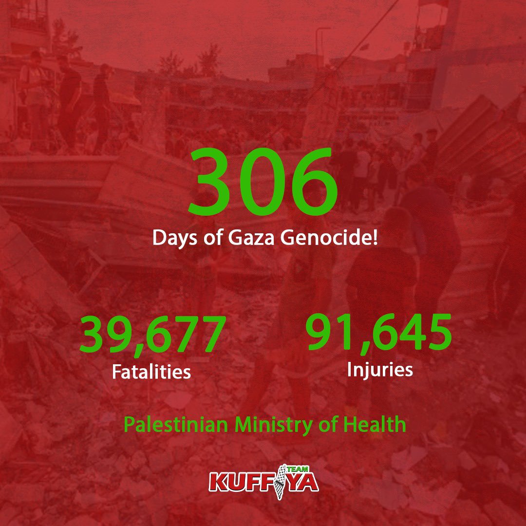 Israel’s War on Gaza: 39,677 Palestinians Killed in 306 Days