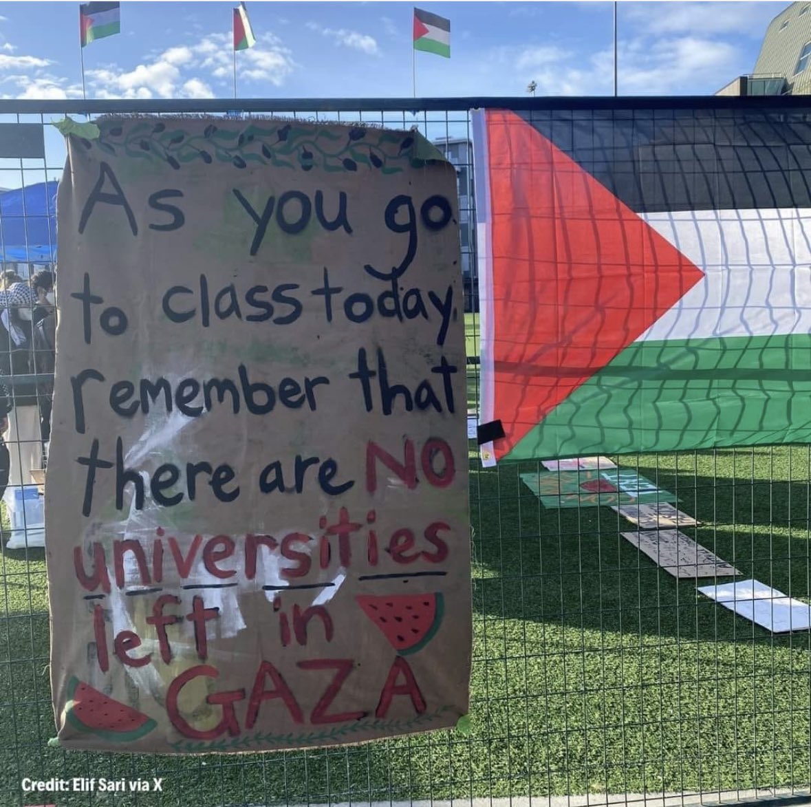 Gaza Universities Destroyed Conflict Education Crisis