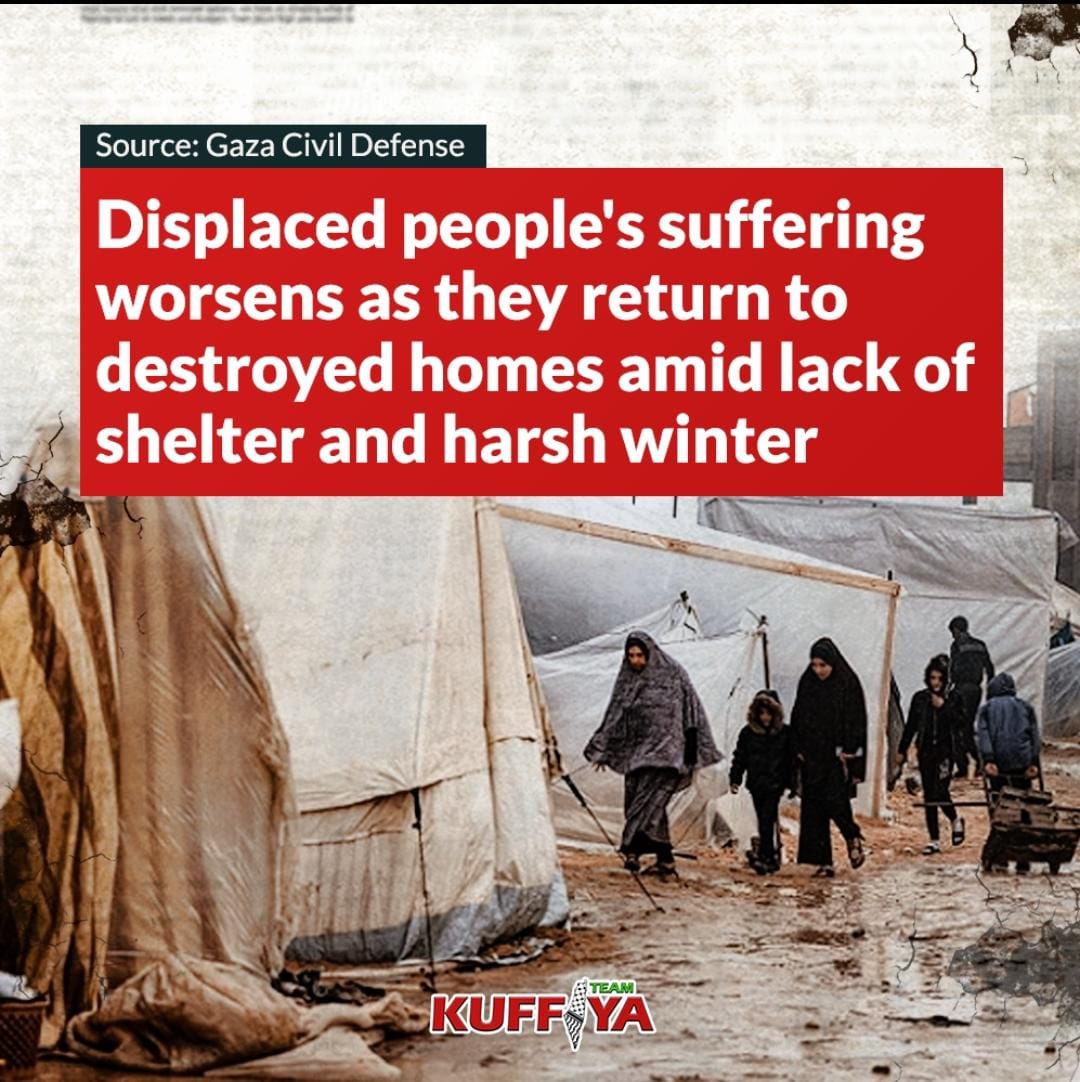 Gaza displacement crisis worsens amid destroyed homes