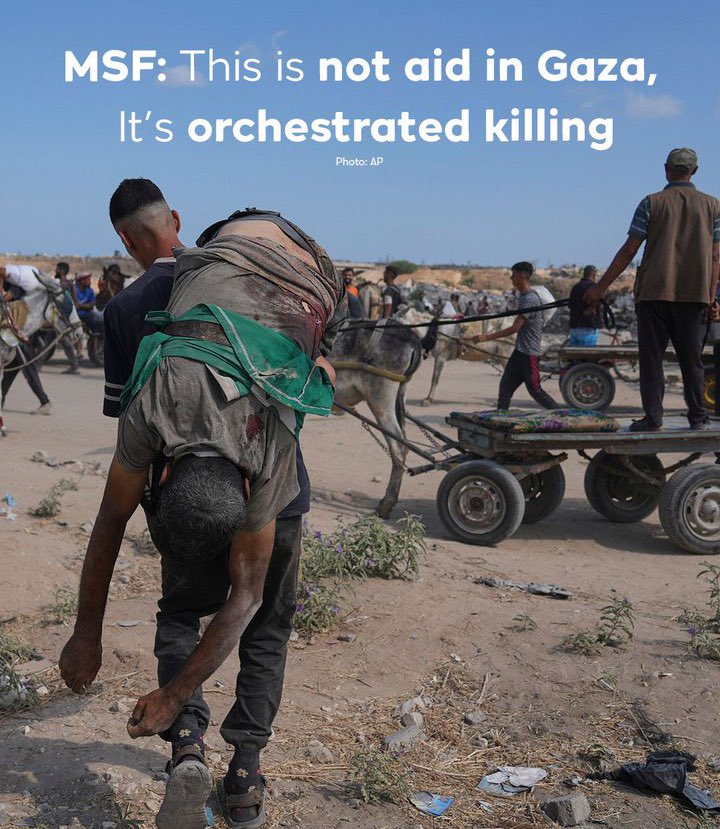 Israeli forces kill 11 aid seekers in Gaza