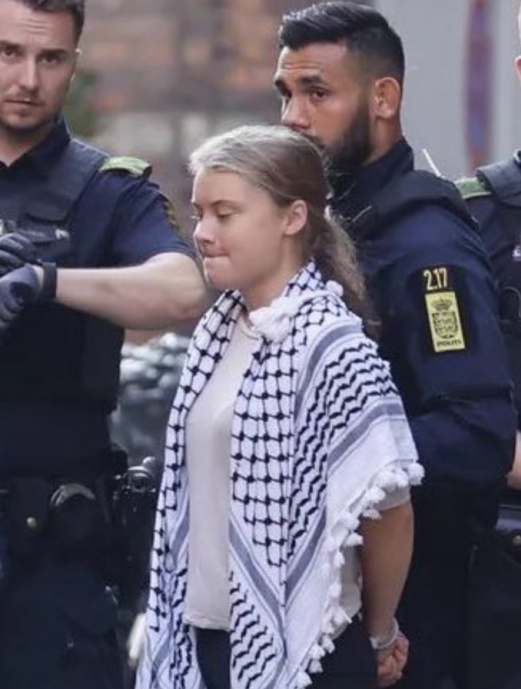 Greta Thunberg arrested in Copenhagen for Palestine stance