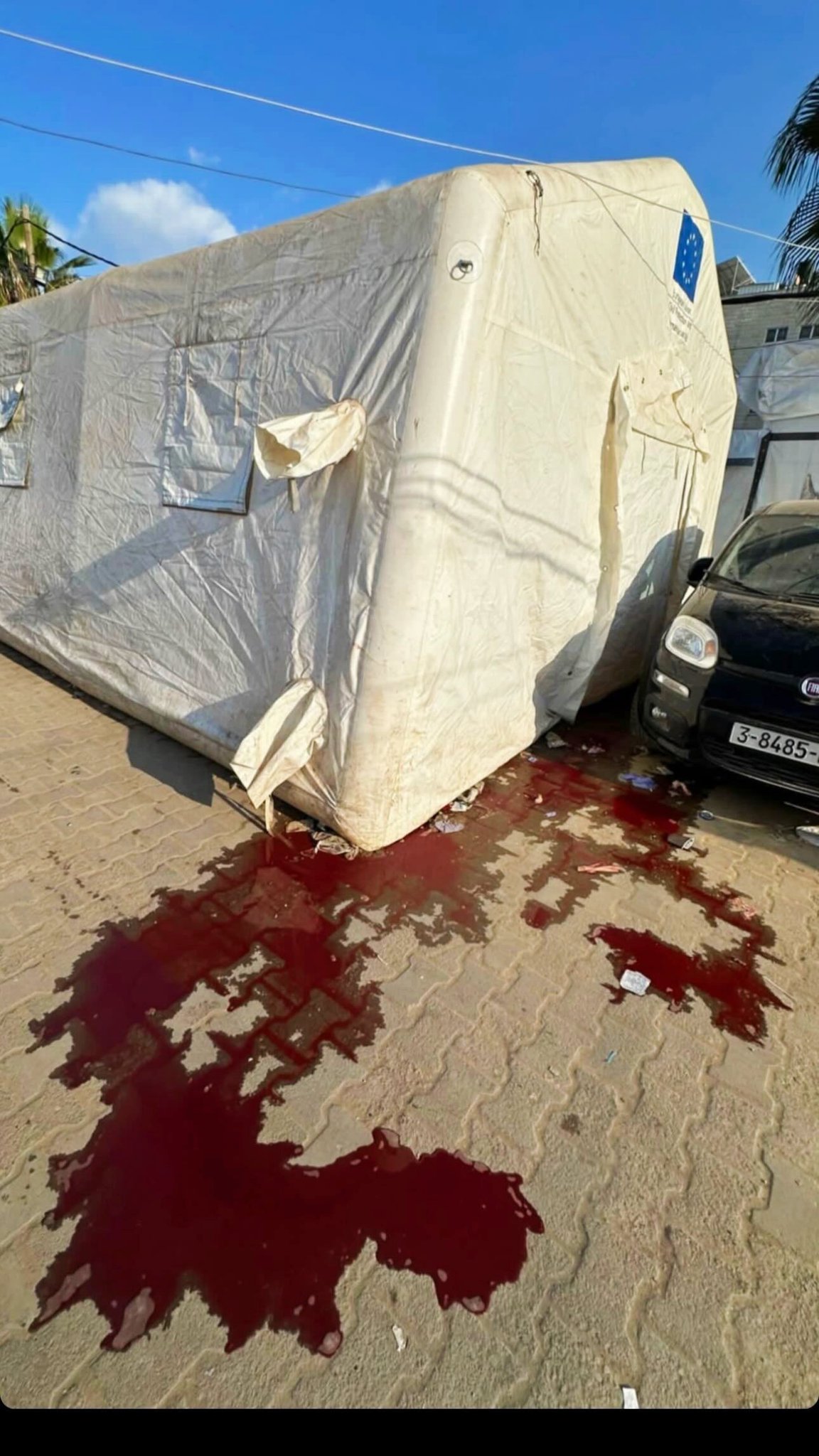 Gaza Ministry reports 187 killed 312 injured in 24 hours