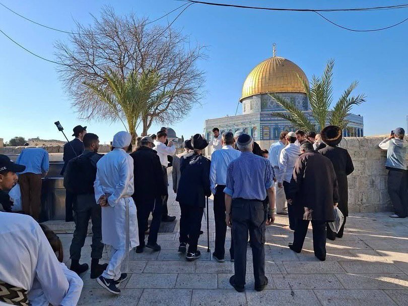 Settlers break into Al Aqsa mosque under military protection