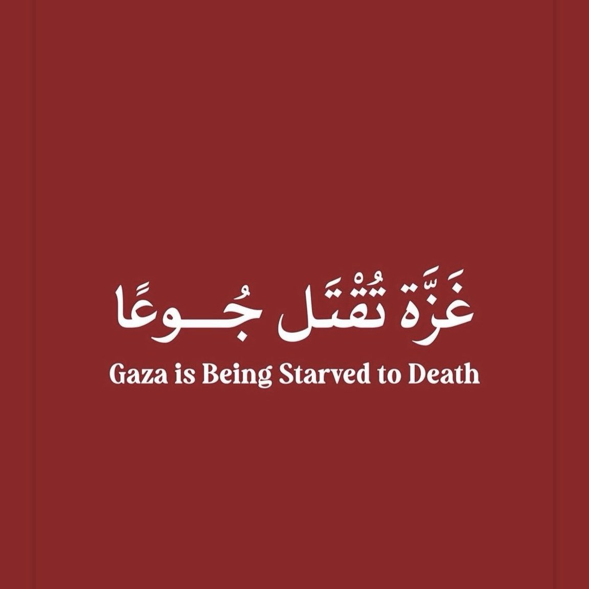 Gaza Humanitarian Crisis: Starvation and Allegations of Genocide