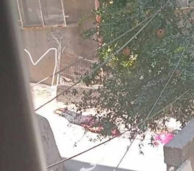 Israeli forces kill 2 Palestinians in Jenin military operation