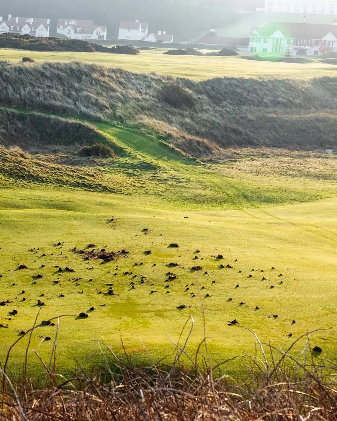 Palestine Action Shuts Trump’s Turnberry Golf Resort in Scotland
