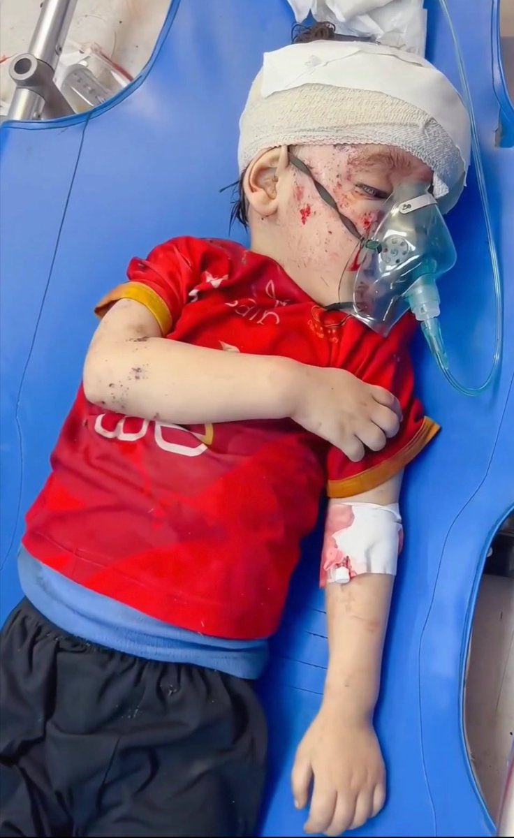 Day 105 of Israeli military operations in Gaza: casualty figures reported