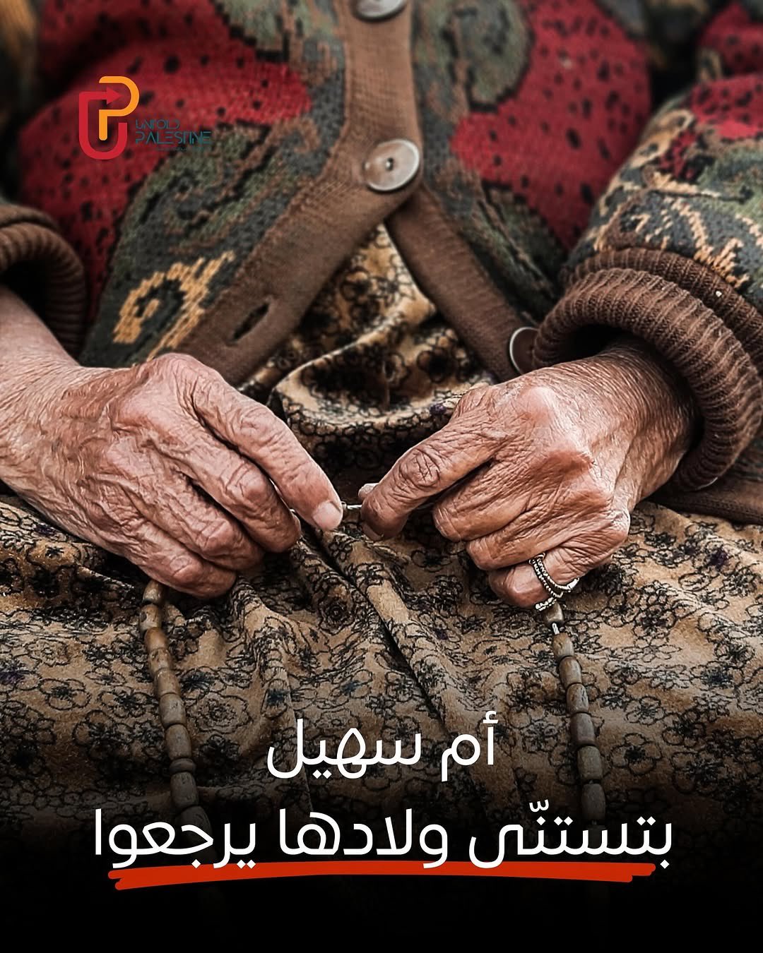 Um Sohel: 80-Year-Old Palestinian Woman Refuses to Leave Gaza Home