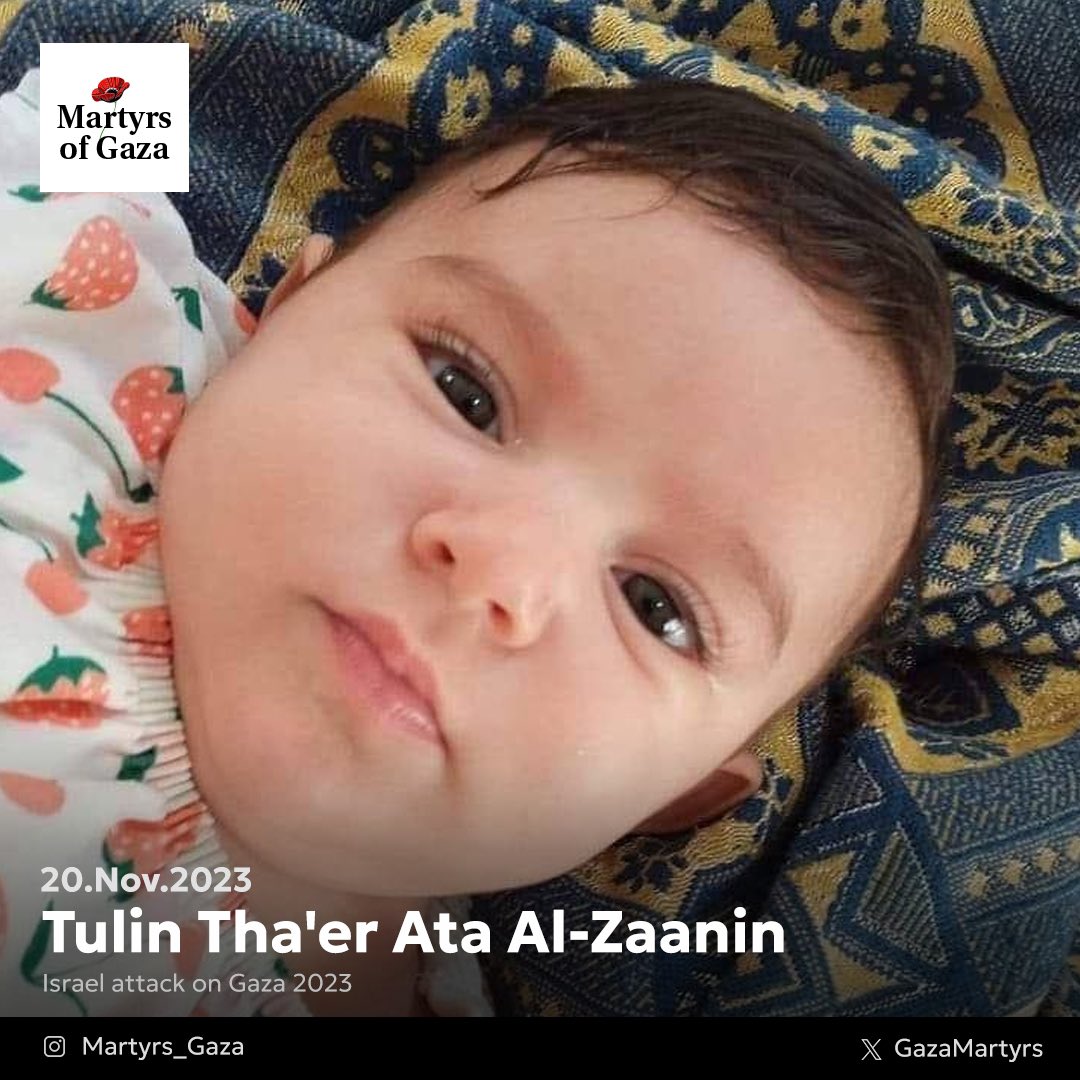 Child victim Tulin Al-Zaanin Gaza conflict casualty November 2023