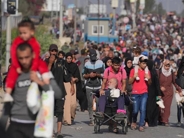 Gaza Population Declines 10% Due to Violence and Displacement