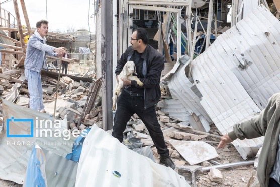Trump Israel airstrikes destroy Iranian livestock farms deliberately