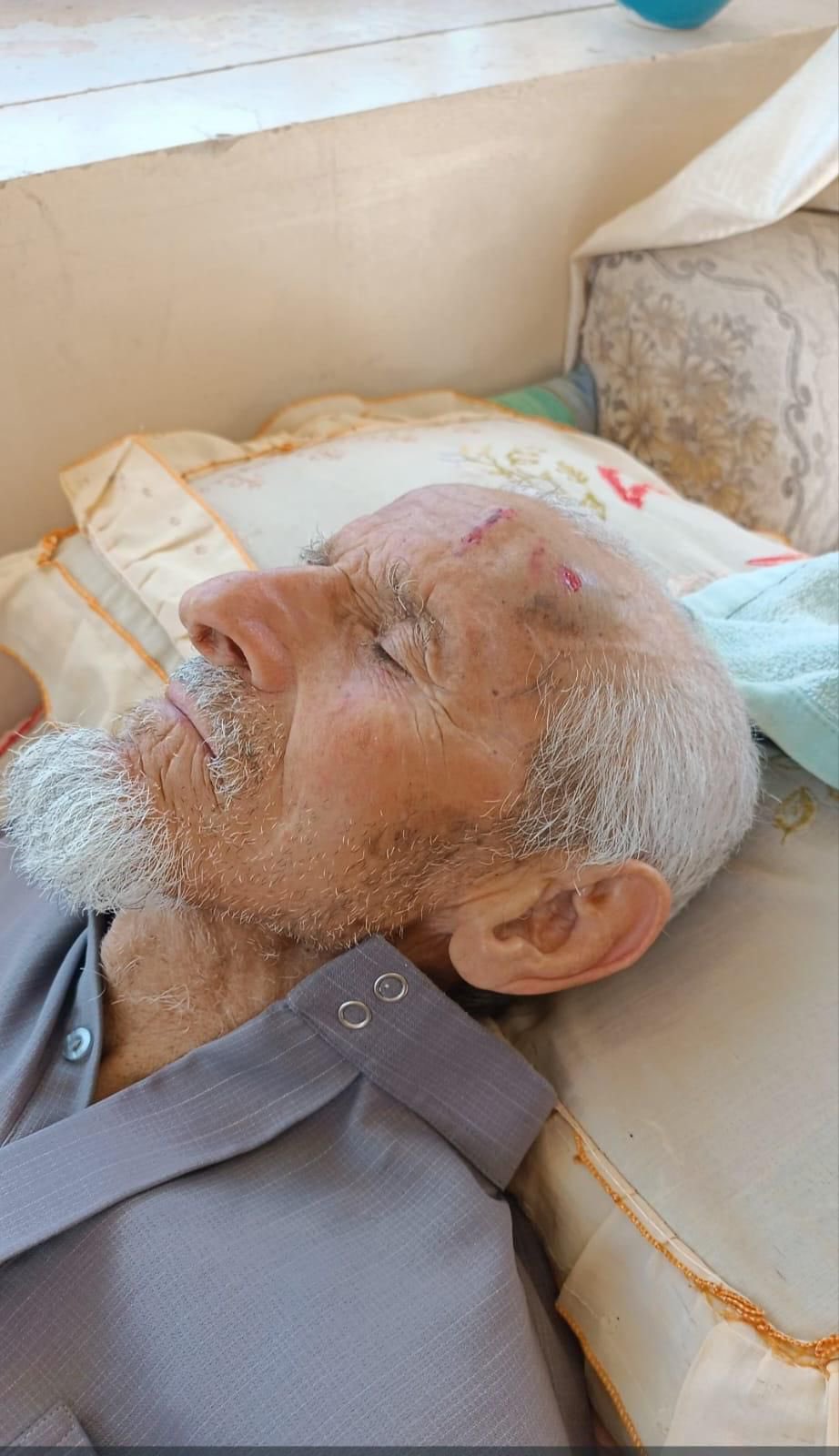 Israeli Forces Attack Elderly Palestinian Shepherd in Bethlehem