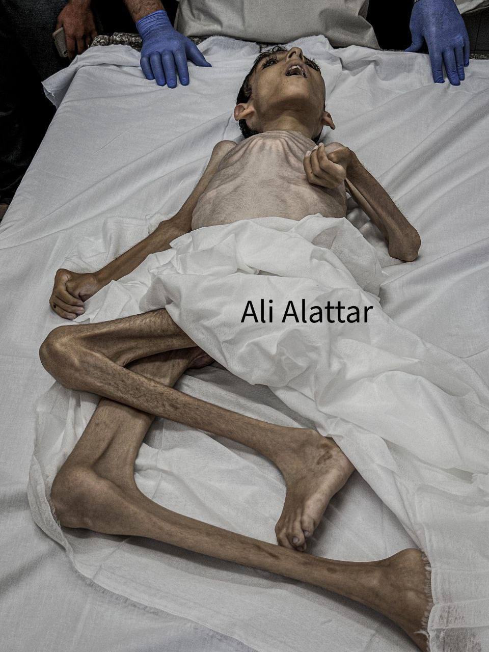 Israeli occupation commits 5 massacres killing 95 in 24 hours