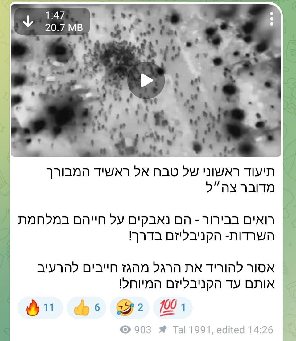 Israeli Telegram channels celebrating Palestinian deaths in Gaza